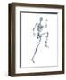 Skeleton Running-PASIEKA-Framed Premium Photographic Print