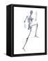 Skeleton Running-PASIEKA-Framed Stretched Canvas