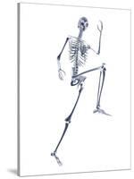 Skeleton Running-PASIEKA-Stretched Canvas