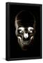Essential Black
