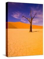 Skeleton Trees in Dead Vlei, Namibia World Heritage Site, Namibia-Michele Westmorland-Stretched Canvas