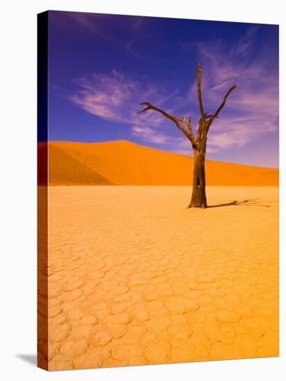 Skeleton Trees in Dead Vlei, Namibia World Heritage Site, Namibia-Michele Westmorland-Stretched Canvas