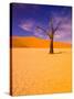 Skeleton Trees in Dead Vlei, Namibia World Heritage Site, Namibia-Michele Westmorland-Stretched Canvas
