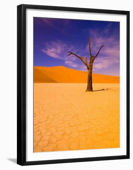 Skeleton Trees in Dead Vlei, Namibia World Heritage Site, Namibia-Michele Westmorland-Framed Premium Photographic Print