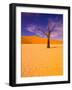 Skeleton Trees in Dead Vlei, Namibia World Heritage Site, Namibia-Michele Westmorland-Framed Photographic Print