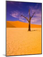 Skeleton Trees in Dead Vlei, Namibia World Heritage Site, Namibia-Michele Westmorland-Mounted Photographic Print