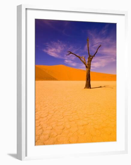 Skeleton Trees in Dead Vlei, Namibia World Heritage Site, Namibia-Michele Westmorland-Framed Photographic Print