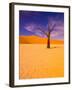 Skeleton Trees in Dead Vlei, Namibia World Heritage Site, Namibia-Michele Westmorland-Framed Photographic Print