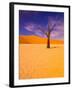 Skeleton Trees in Dead Vlei, Namibia World Heritage Site, Namibia-Michele Westmorland-Framed Photographic Print