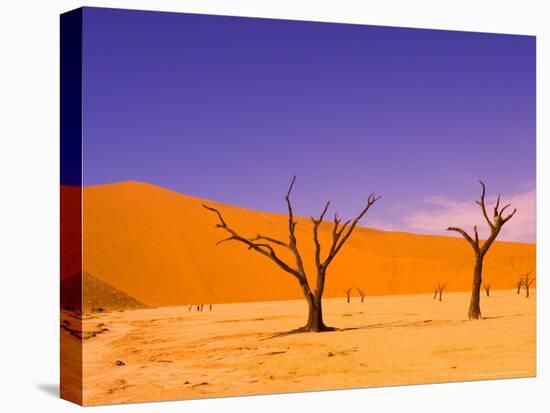 Skeleton Trees in Dead Vlei, Namibia World Heritage Site, Namibia-Michele Westmorland-Stretched Canvas