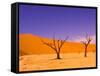 Skeleton Trees in Dead Vlei, Namibia World Heritage Site, Namibia-Michele Westmorland-Framed Stretched Canvas