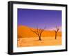 Skeleton Trees in Dead Vlei, Namibia World Heritage Site, Namibia-Michele Westmorland-Framed Photographic Print