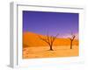 Skeleton Trees in Dead Vlei, Namibia World Heritage Site, Namibia-Michele Westmorland-Framed Photographic Print