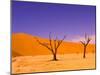 Skeleton Trees in Dead Vlei, Namibia World Heritage Site, Namibia-Michele Westmorland-Mounted Photographic Print