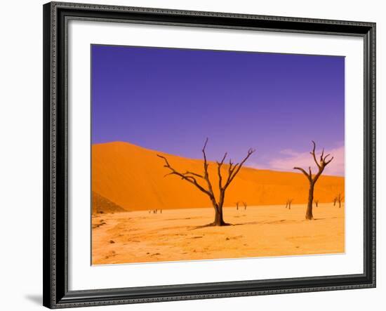 Skeleton Trees in Dead Vlei, Namibia World Heritage Site, Namibia-Michele Westmorland-Framed Photographic Print