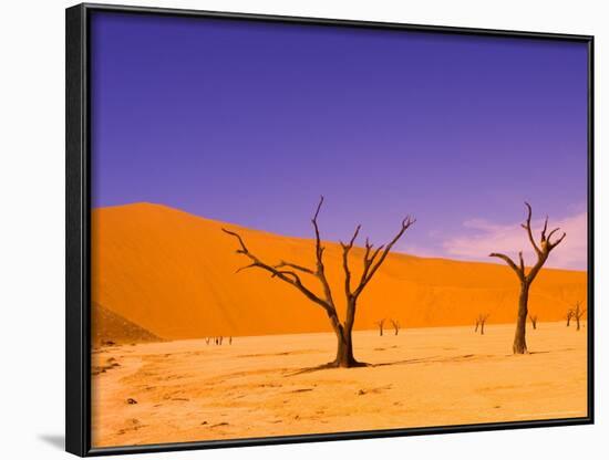 Skeleton Trees in Dead Vlei, Namibia World Heritage Site, Namibia-Michele Westmorland-Framed Photographic Print