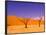 Skeleton Trees in Dead Vlei, Namibia World Heritage Site, Namibia-Michele Westmorland-Framed Photographic Print