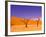 Skeleton Trees in Dead Vlei, Namibia World Heritage Site, Namibia-Michele Westmorland-Framed Photographic Print