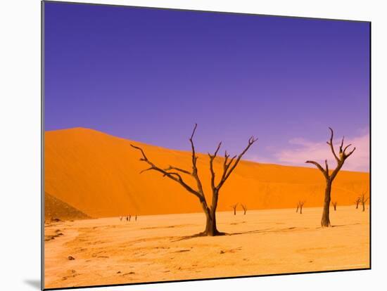 Skeleton Trees in Dead Vlei, Namibia World Heritage Site, Namibia-Michele Westmorland-Mounted Photographic Print