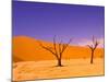 Skeleton Trees in Dead Vlei, Namibia World Heritage Site, Namibia-Michele Westmorland-Mounted Photographic Print