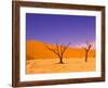 Skeleton Trees in Dead Vlei, Namibia World Heritage Site, Namibia-Michele Westmorland-Framed Photographic Print