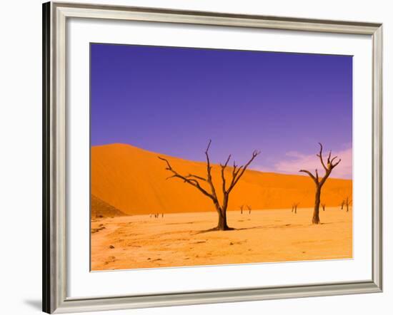 Skeleton Trees in Dead Vlei, Namibia World Heritage Site, Namibia-Michele Westmorland-Framed Photographic Print