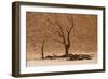 Skeleton trees, Sossusvlei (Death Valley), Namibia, Africa-Michal Szafarczyk-Framed Photographic Print