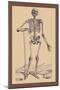 Skeleton with Shovel-Andreas Vesalius-Mounted Art Print