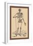 Skeleton with Shovel-Andreas Vesalius-Framed Art Print