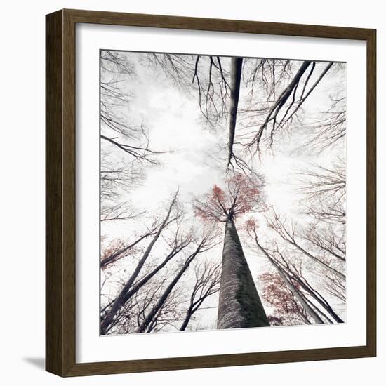 Skeleton-Philippe Sainte-Laudy-Framed Photographic Print