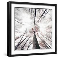 Skeleton-Philippe Sainte-Laudy-Framed Photographic Print