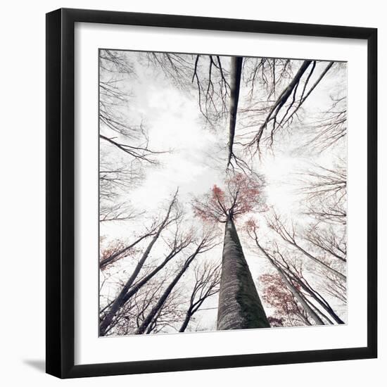 Skeleton-Philippe Sainte-Laudy-Framed Photographic Print