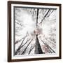 Skeleton-Philippe Sainte-Laudy-Framed Photographic Print