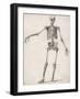 Skeleton-null-Framed Art Print