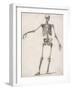Skeleton-null-Framed Art Print