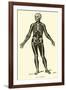 Skeleton-Leveille-Framed Giclee Print