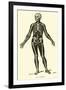 Skeleton-Leveille-Framed Giclee Print