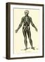 Skeleton-Leveille-Framed Giclee Print