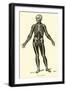 Skeleton-Leveille-Framed Giclee Print