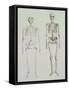 Skeletons of Australopithecus Boisei and Homo Sapiens-null-Framed Stretched Canvas