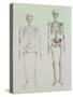 Skeletons of Australopithecus Boisei and Homo Sapiens-null-Stretched Canvas