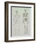 Skeletons of Australopithecus Boisei and Homo Sapiens-null-Framed Giclee Print