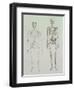 Skeletons of Australopithecus Boisei and Homo Sapiens-null-Framed Giclee Print