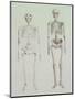 Skeletons of Australopithecus Boisei and Homo Sapiens-null-Mounted Giclee Print