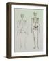 Skeletons of Australopithecus Boisei and Homo Sapiens-null-Framed Giclee Print