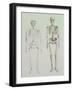 Skeletons of Australopithecus Boisei and Homo Sapiens-null-Framed Giclee Print