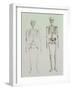 Skeletons of Australopithecus Boisei and Homo Sapiens-null-Framed Giclee Print