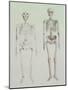 Skeletons of Australopithecus Boisei and Homo Sapiens-null-Mounted Giclee Print