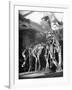 Skeletons of Dinosaurs Being Displayed at the American Museum of Natural History-Hansel Mieth-Framed Premium Photographic Print