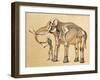 Skeletons of Man and Elephant, 1860-Science Source-Framed Giclee Print